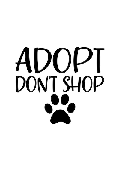 Adopt Dont Shop Satın Alma Sahiplen Sticker 18Cm Siyah
