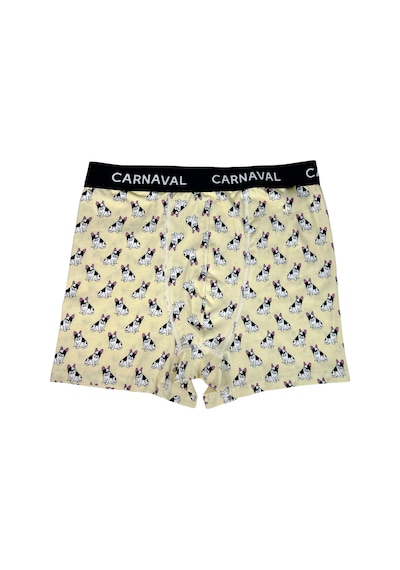 Carnaval Socks Carnaval French Bulldog Desenli Premium Pamuklu Erkek Boxer Çoklu