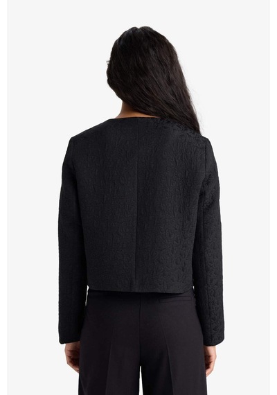 Defacto Regular Fit Blazer Ceket F9130ax25wnbk81 Siyah
