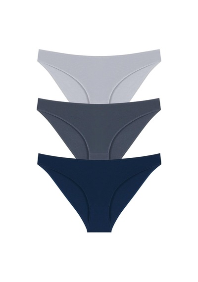 10010 Slip 3'lü Bikini Külot Paketi 10010-v3-Lacivert-K.Füme-A. Füme Lacivert - Koyu Füme - Açık Füme