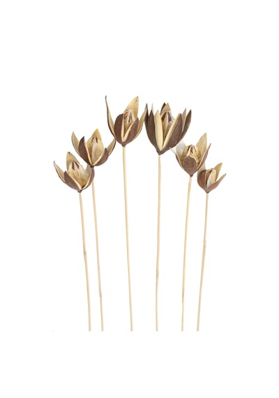 Yapay Çiçek Deposu 6lı Tropic Lily On Stem 50 Cm