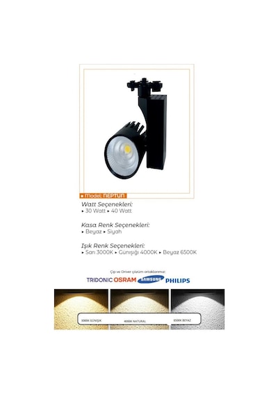 Ledli Ray Spot Siyah Kasa 40 Watt Beyaz 6500 K