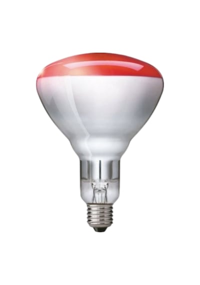 250w Br125 Infrared Kızılötesi Isıtıcı Ampul E27 Hayvan Isıtma, Fizik Tedavi Lambası Kırmızı Işık