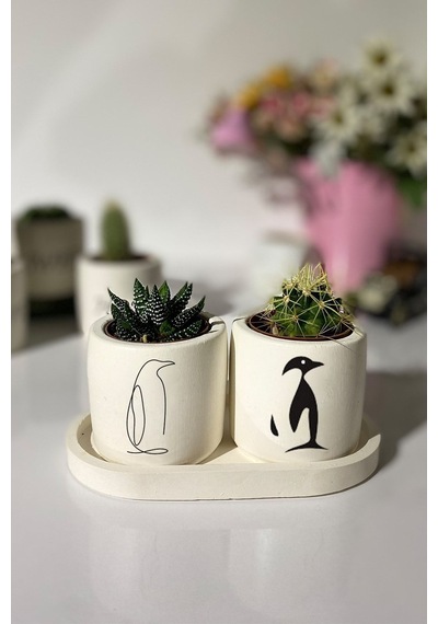 Tabaklı Penguen Desenli Saksı Seti