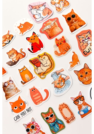 Turuncu Kediler 27 Parça Sticker Paketi Suya Dayanıklı Ajanda Laptop Termos Telefon Etiket Seti