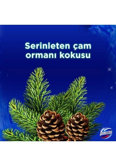 Yoğun Parfümlü Çam Ormanı İle Wc Blok Ürünü
