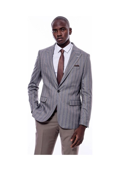 Wessi Ekose Çizgili Gri Slim Fit Ceket Gri