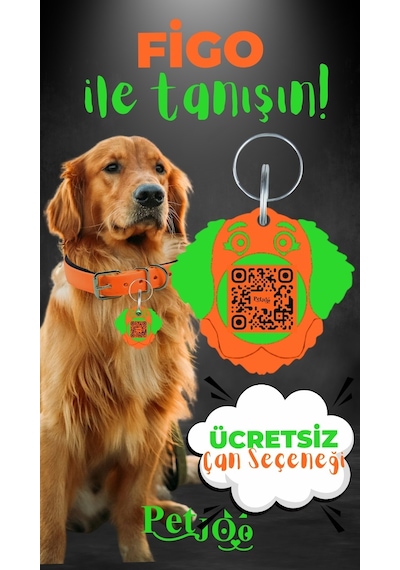 Petjoo 27.Figo Yeşil-Turuncu Qr'lı Köpek Künyesi