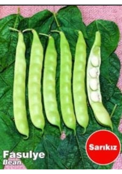 Sarıkız Oturak Fasulye Tohumu 100+ Tohum N118059