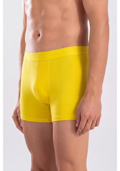 Hadpols Premium Esnek İç Giyim Çoklu Paket Çeyiz Seti Erkek Premium Bambu Renkli Boxer 6'lı Hediye Kutulu Çok Renkli