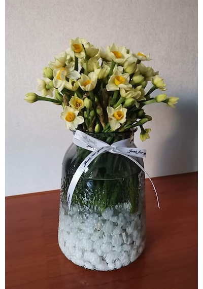 Alyones 2kg Dolomit Dekoratif Bahçe Peyzaj Taşları, Bitkiler İçin Doğal Çakıl Dolgusu