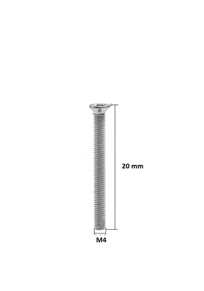 Havşa Başlı Yıldız M4x20 mm Civata 20 Adet YHB Vida Galvaniz Kaplama DIN 965