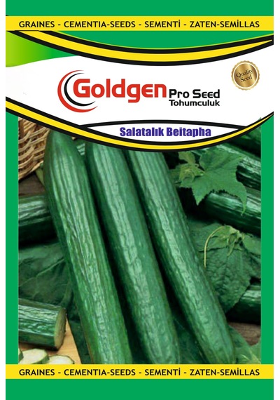 Goldgen Salatalık Beitapha Tohumu 1 Paket