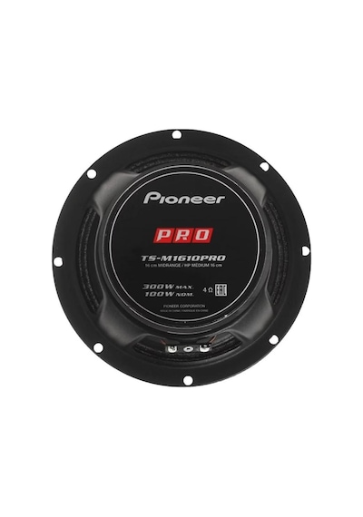 Pioneer Ts-m1610pro 16cm Midrange Hoparlör Takımı