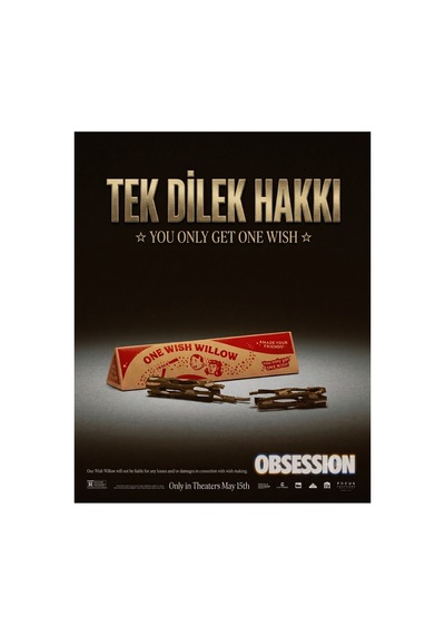 Obsession One Wish Willow Dilek Çubuğu Bir Dilek Hakkı Niyet Ve Manifestasyon Çubuğu Kutulu Anlamlı