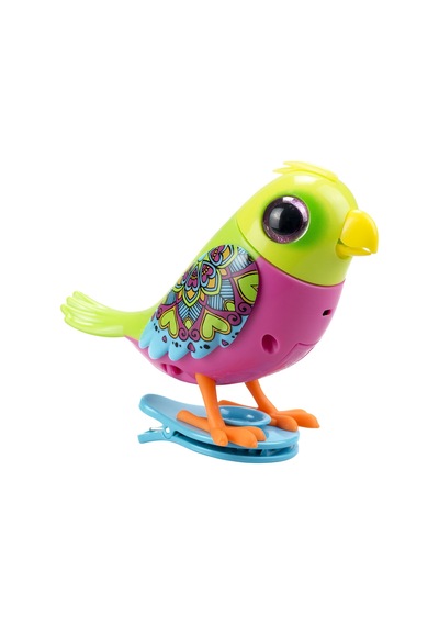 Digibirds Tekli Paket Seri 1 - Model 3