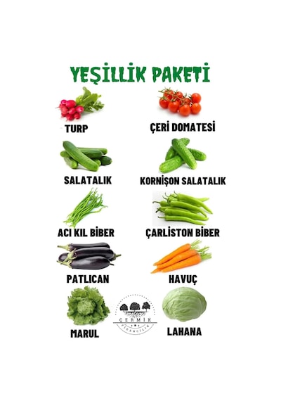 10 Çeşit Karışık Tohum Paketi 3
