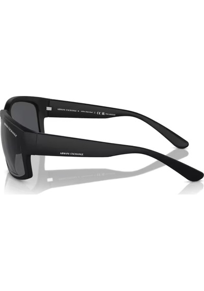 Armani Exchange 0ax4142su 807887 61 Erkek Güneş Gözlüğü