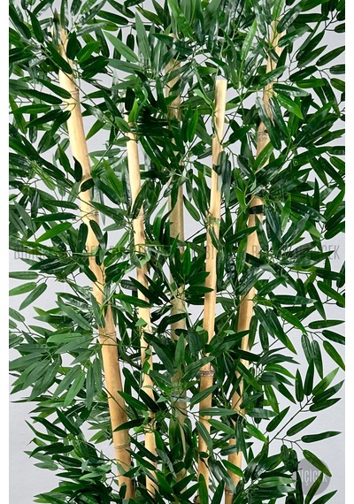 Zen Bambu Ağacı 240 Cm Antresit Bone Saksıda