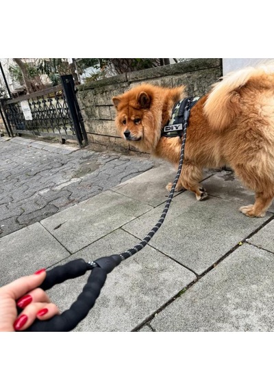 Köpek Gezdirme İpi Küçük Orta Büyük Irk Köpekler İçin 125 Cm Sevk Tasma Kayışı Reflektörlü
