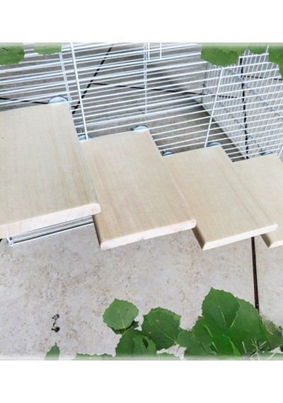 4'lü Set Doğal Kavak Ağacı Chinchilla Platformu - Sıçan, Muhabbet Kuşu, Hamster İçin Kafes Aksesuarı