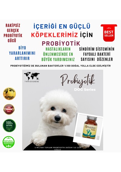 Rb Pharma Çok Güçlü Probiyotik 80 G