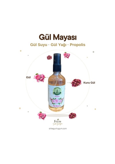 Sirke Günlüğüm Gül Mayası
