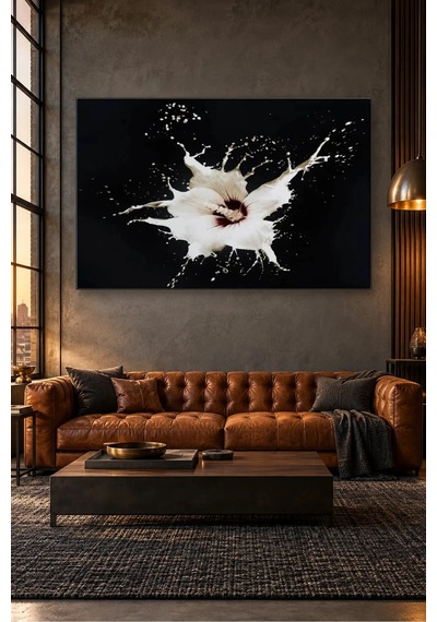 Fida Siyah Fonda Beyaz Sıçrama Canvas Tablo