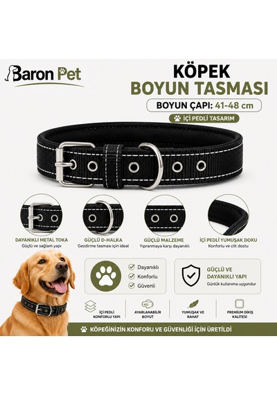 Pedli Köpek Boyun Tasması 41-48 Cm 2 Cm İçi Pedli Metal Tokalı D Halkalı - Siyah Çok Renkli
