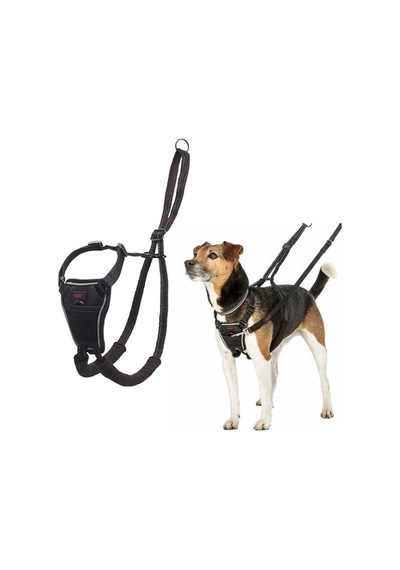 Company Of Animals Halti Köpek Çekme Önleyici Göğüs Tasması, Küçük Boy Genel