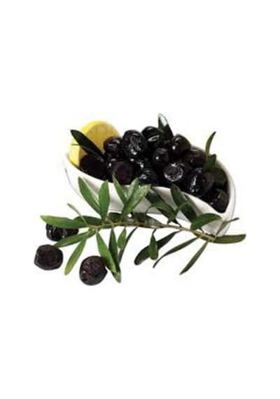 Bursatarım Gemlik Zeytin Fidanı tüplü/saksılı