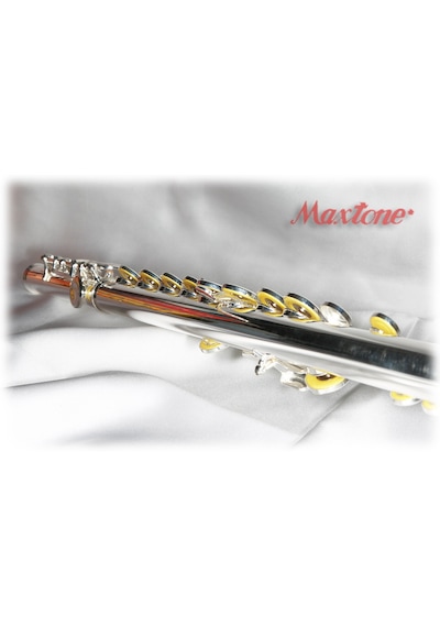 Maxtone Tfc-53Se Flüt C Gümüş Kaplama Kutulu : Maxtone