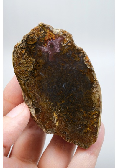 Süslü Altın Oker Ve Bronz Tüy Siyah Deniz Akik Taşı İle Yumuşak Pembe Surlar