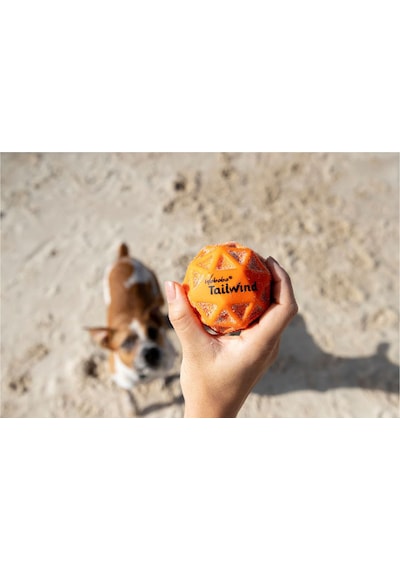 Waboba Woofpack Frizbi Top Köpek Oyuncağı Oyun Seti