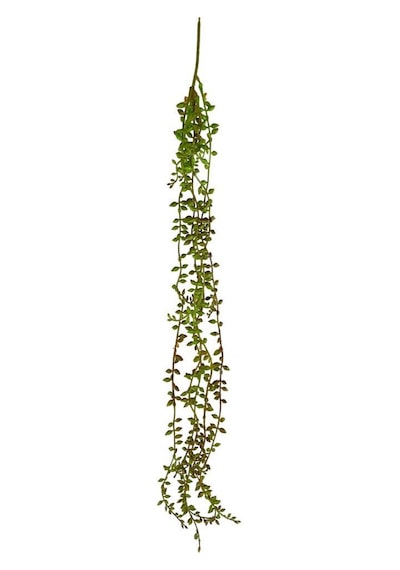 Yapay Çiçek Sarkan Kahverengi Detaylı String Okaliptus Skulent 70cm 5Dal