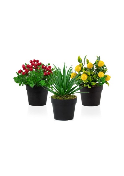 3’Lü Set Siyah Mini Plastik Saksıda Yapay Kokina, Aloe Vera Ve Li