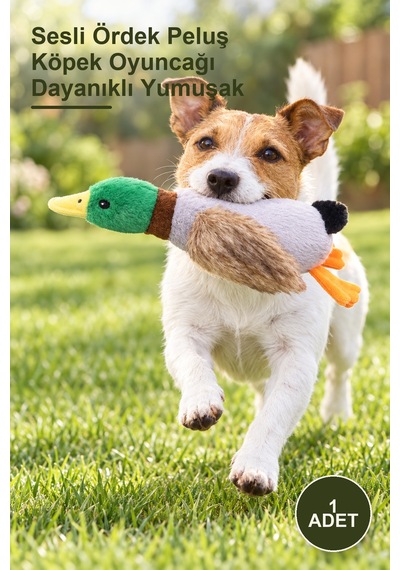 1 Adet Sesli Ördek Peluş Köpek Oyuncağı Dayanıklı Yumuşak