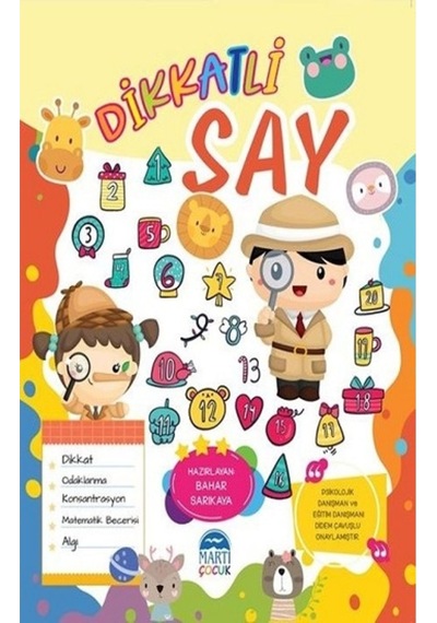 Dikkatli Say