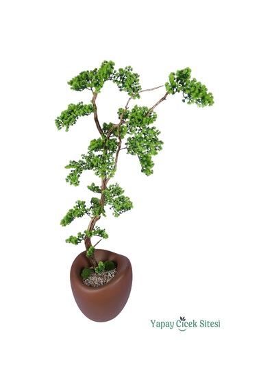 Yapay Çiçek Sitesi Fiber Saksıda Doğal Gövdeli Bonsai Yapay Ağaç 170 Cm Yeşil