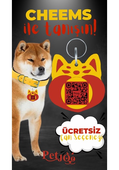 Petjoo 18.Cheems Kırmızı-Sarı Qr'lı Köpek Künyesi