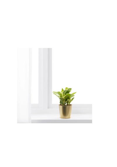 Ikea Daıdaı Çelik Saksı, Pirinç Rengi, 9 Cm -