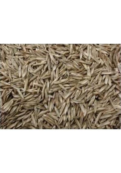 Ryegrass Tohumu Süt Otu Tohumu 5 Kg