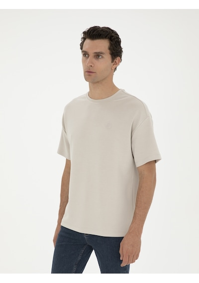 Taş Slim Fit Bisiklet Yaka T-shirt Gri