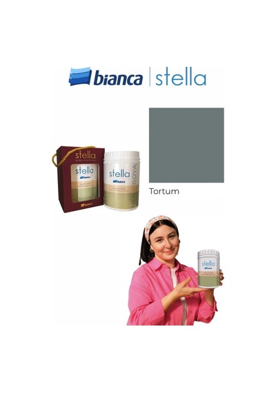 Stella Su Bazlı Saf Akrilik Boya 500ml - Tortum