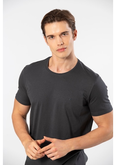 Cacharel Erkek Bisiklet Yaka T-shirt 2169/antrasit 001