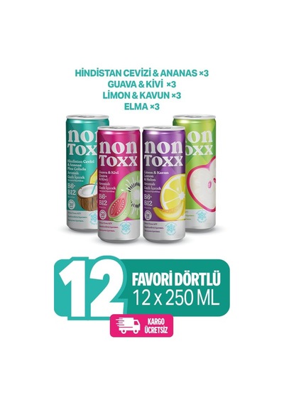 Nontoxx Tanışma Paketi 250 Ml X 3 Adet Hindistan Cevizi & Ananas Aroma, Guava &kivi Aromalı, Limon