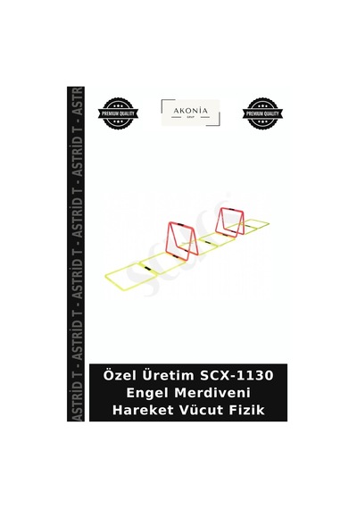 Özel Üretim Scx-1130 Engel Merdiveni Hareket Vücut Fizik Çok Renkli
