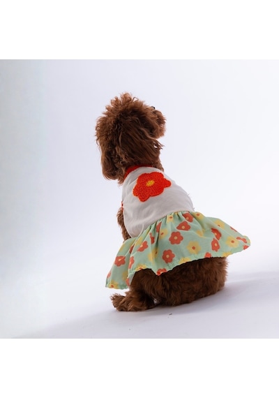 Florelle Çiçek Desenli Kedi Köpek Elbisesi - Kedi Köpek Kıyafeti