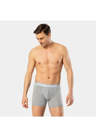 Cacharel Erkek Likralı Boxer 1315/gri Gri