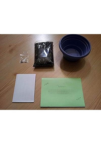 Karışık Süs Biberi Tohumu 25+ Tohum+saksı+toprak Genel